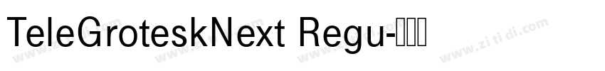 TeleGroteskNext Regu字体转换